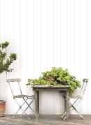 Ламперия Ламперия