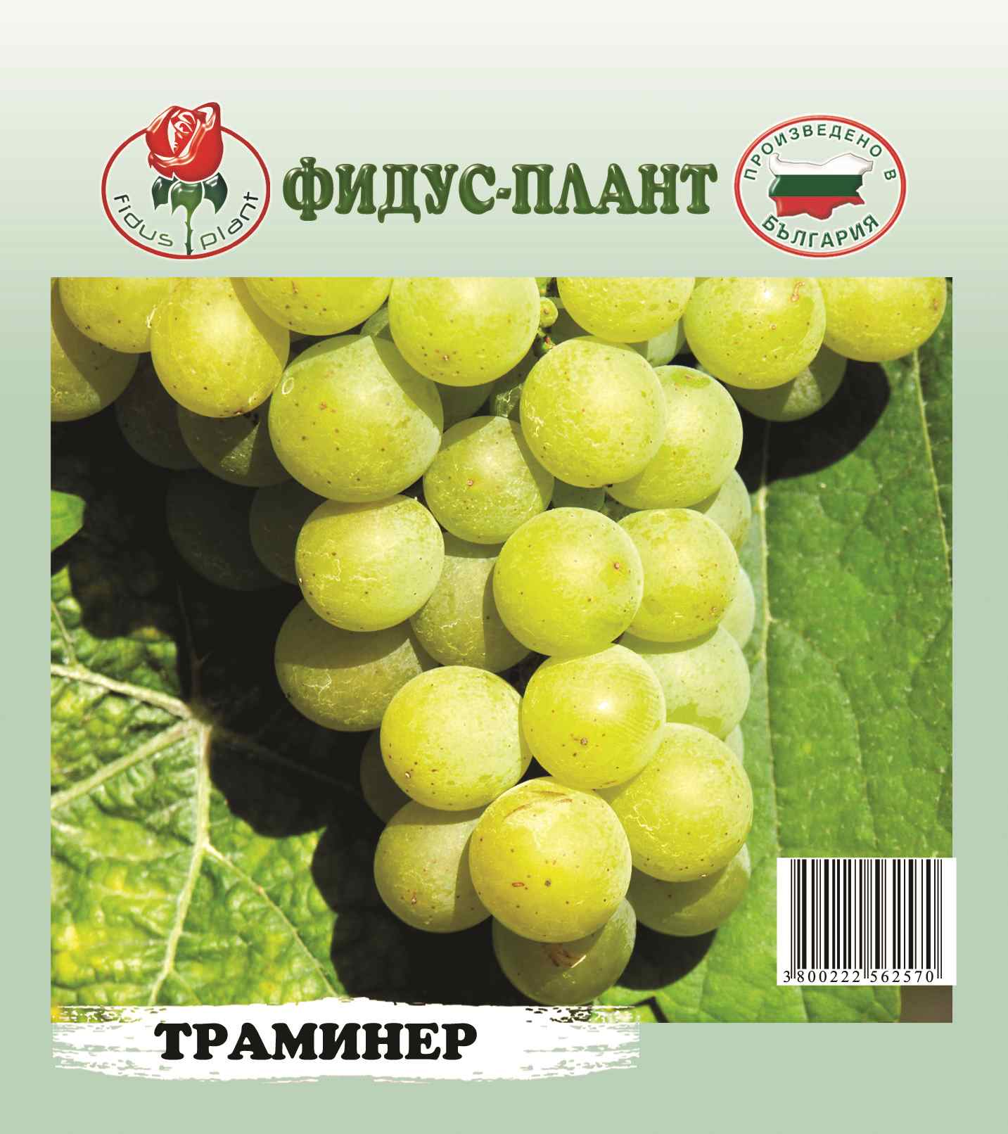 Лози